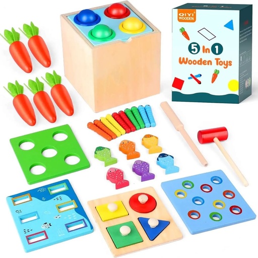5 in 1 learning toy